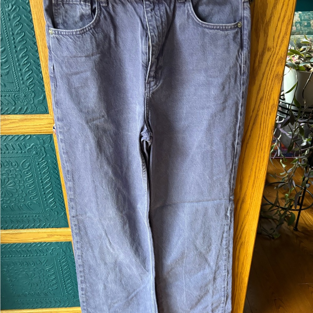 Zara Purple Jeans